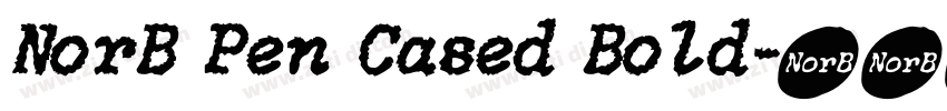 NorB Pen Cased Bold字体转换 NorB Pen Cased Bold字体转换